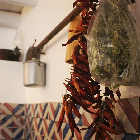 Zioli Vintage Apartment